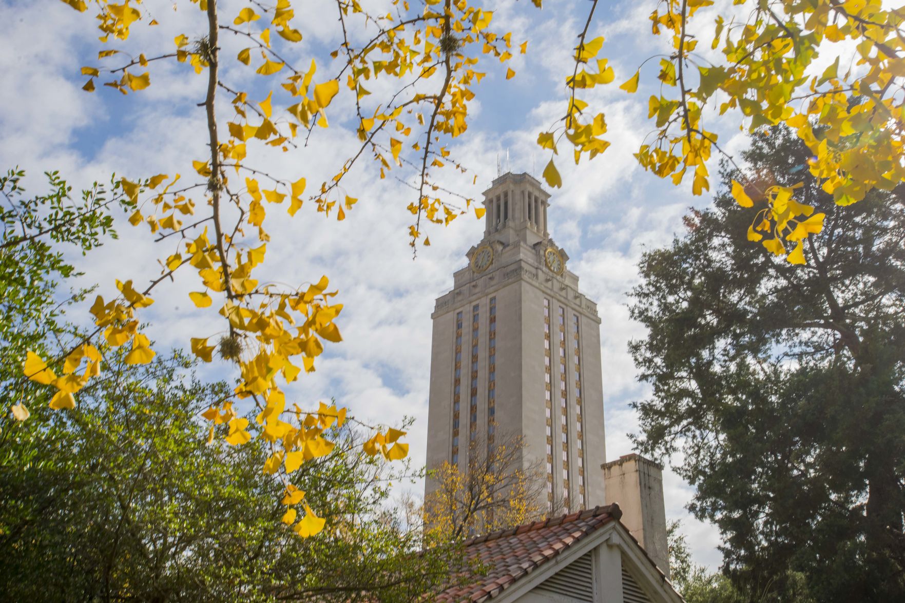 Texas LSU academics
